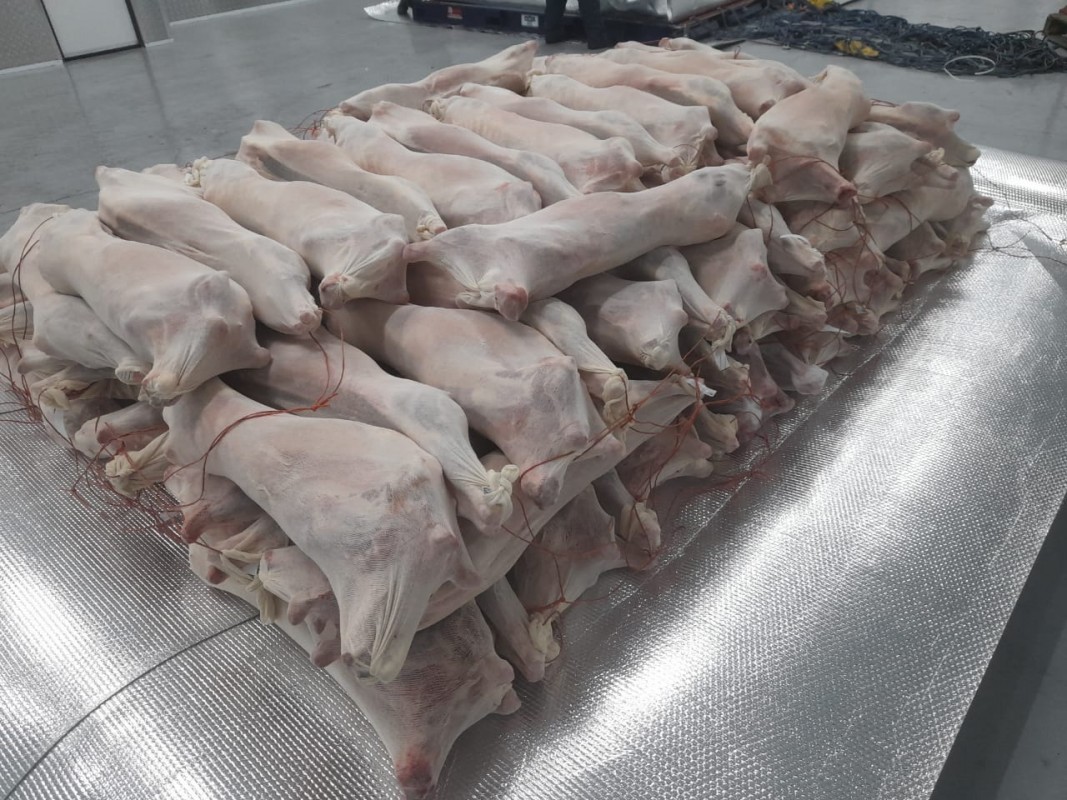 Merino grade A-2 A-3 lamb from South Africa